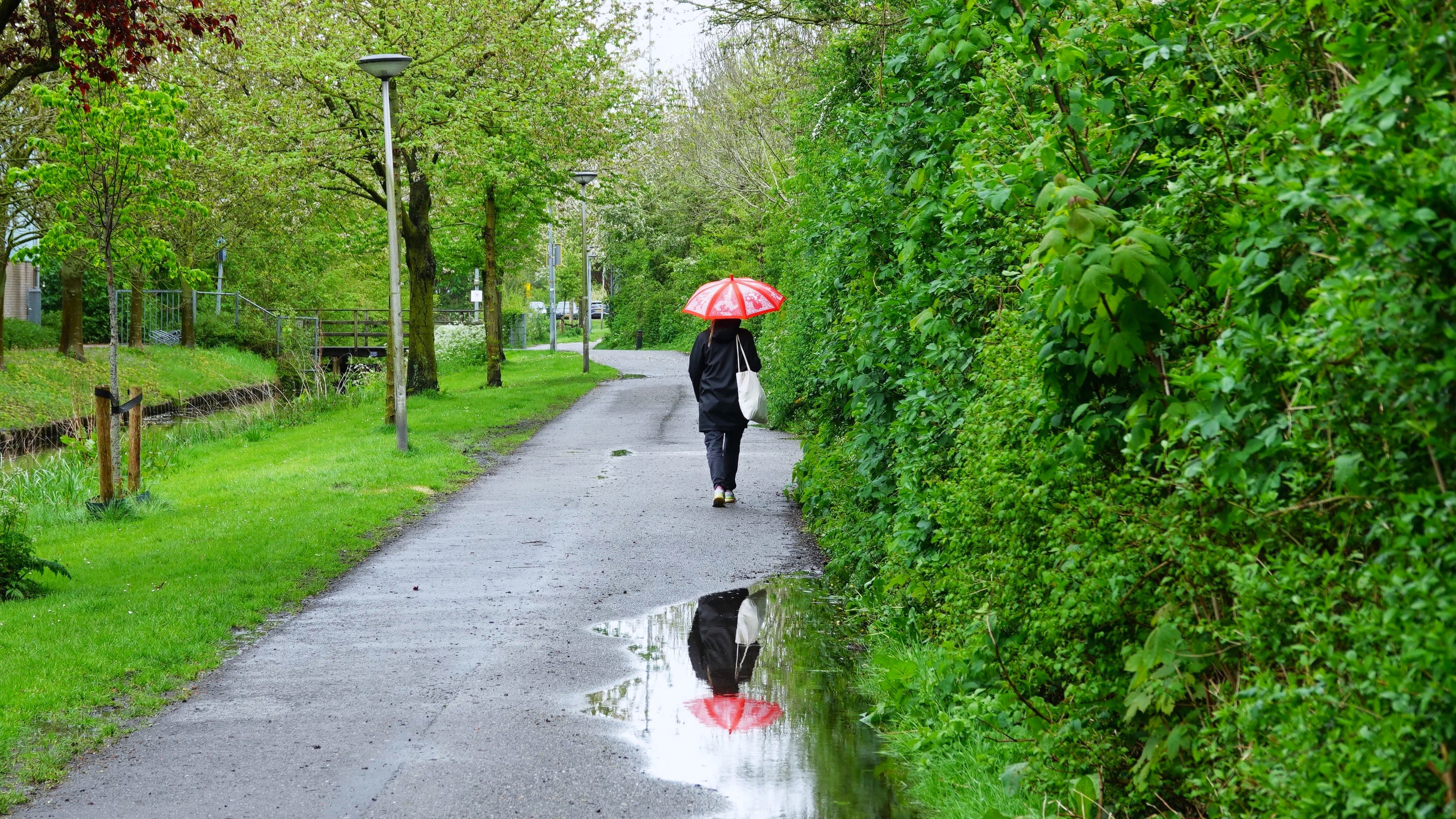De paraplu kwam geregeld van pas. Foto: Ton Wesselius.