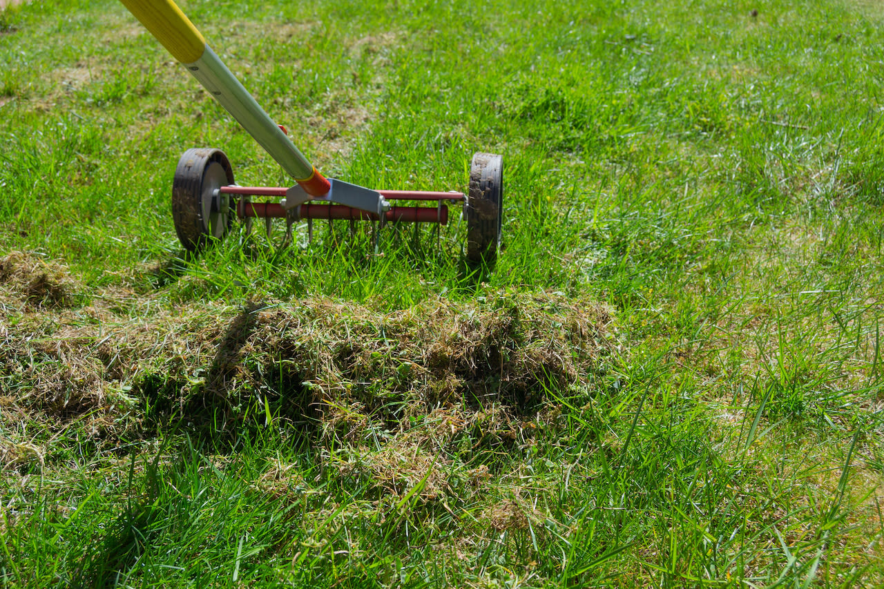 Verticuteren met een hark op wieltjes kan het werk lichter maken. Foto: Adobe Stock / iratxe