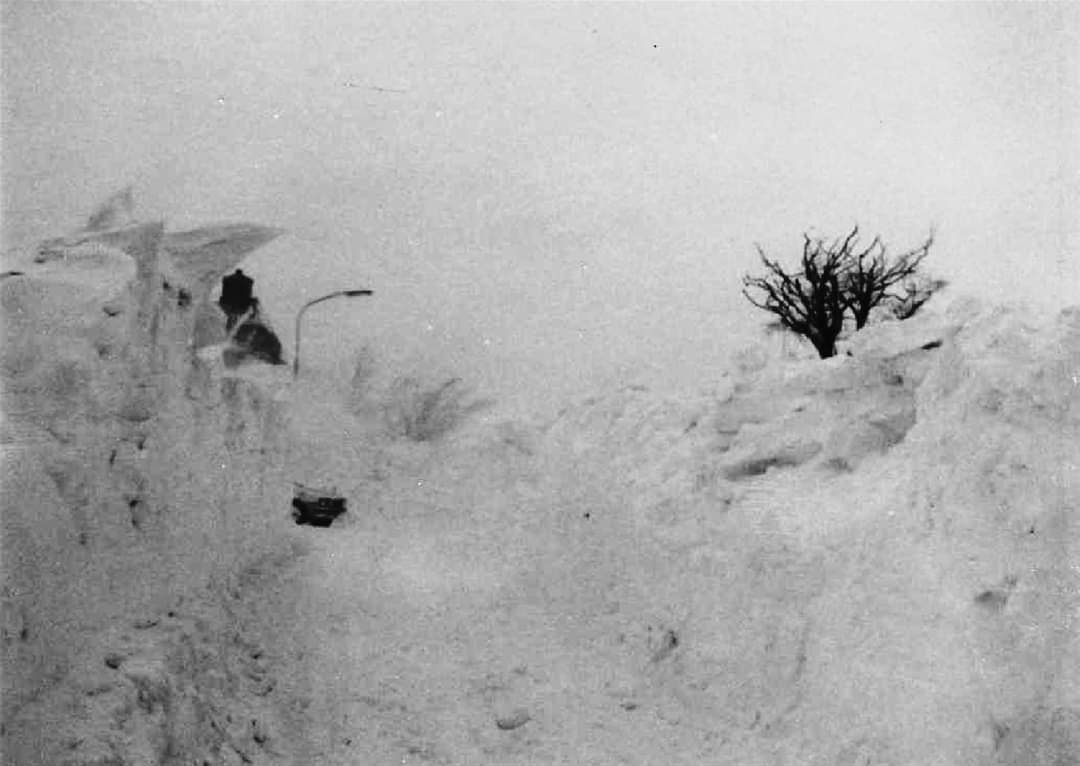 Sneeuwduinen zo hoog als de bomen. Foto: Jannes Wiersema.