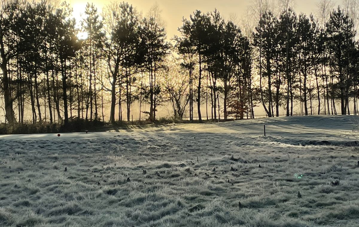 Rijp op de golfbaan bij zonsopkomst. Foto Paulien Mulder