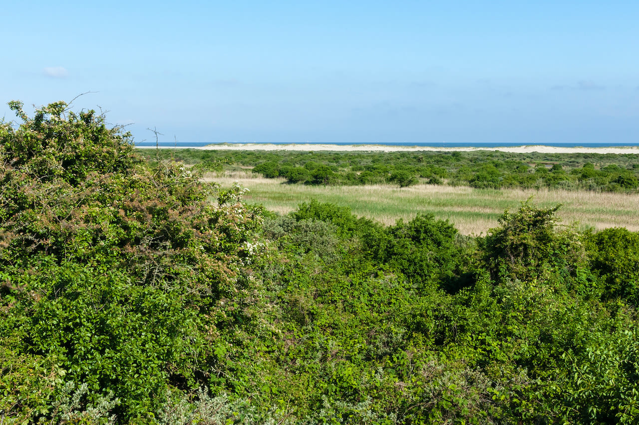 De Kwade Hoek op Goeree-Overflakkee. Foto: Adobe Stock / AGAMI.