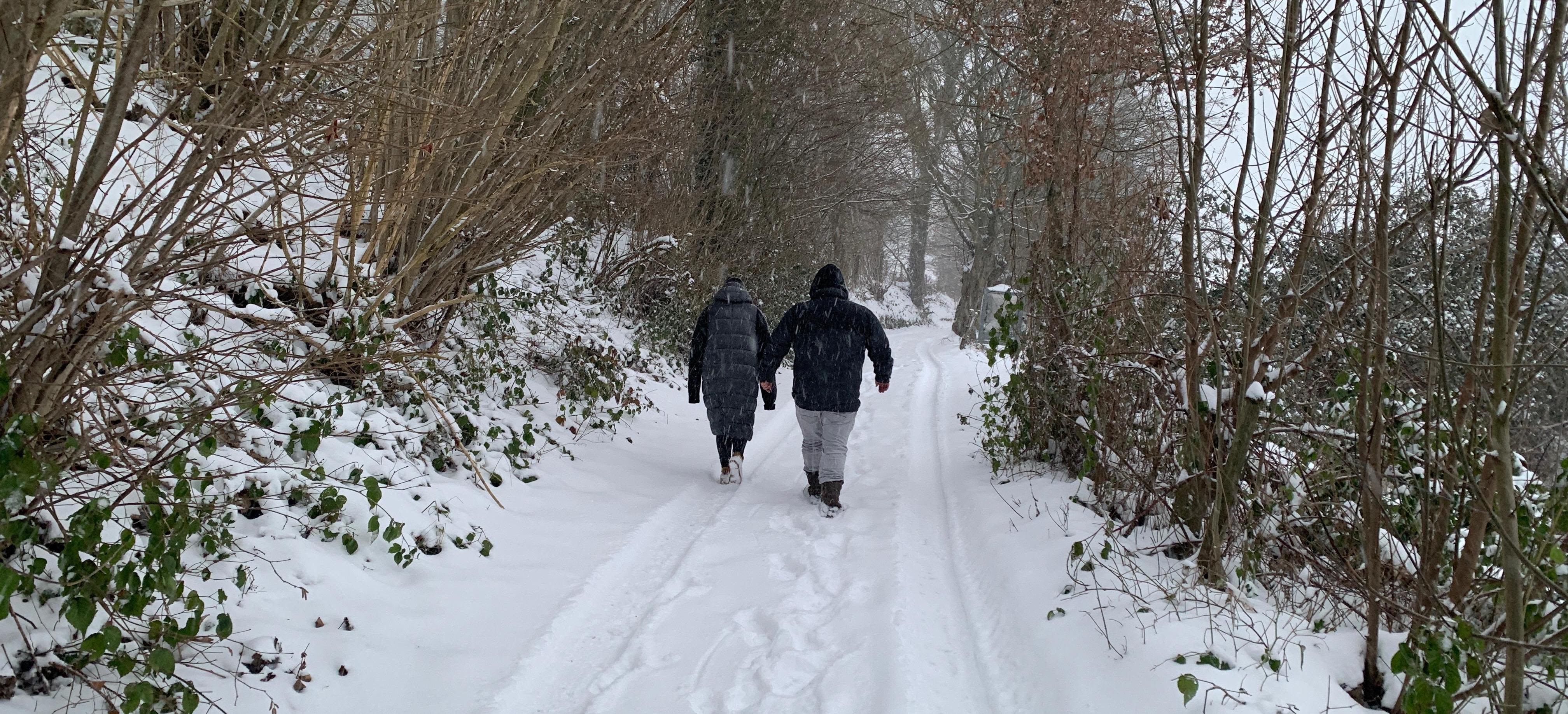 Flink pak sneeuw in de Vijlenerbossen. Foto: Yannick Damen.