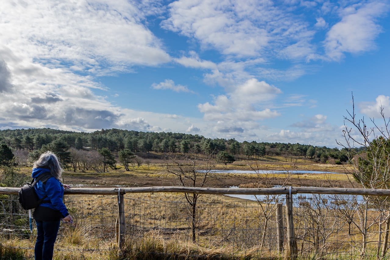 Heerlijk weer om te wandelen. Beeld: AdobeStock Emile