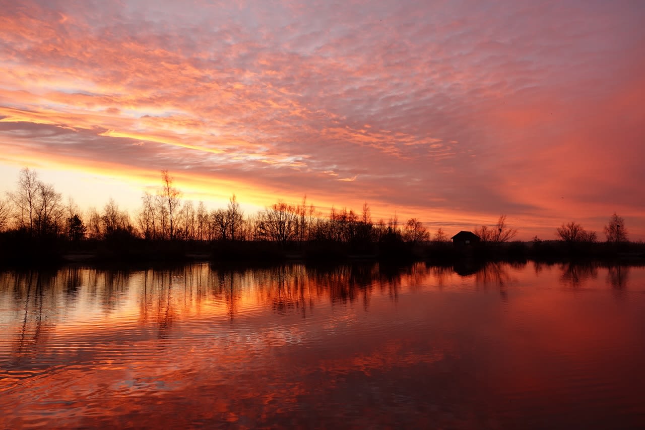 Morgenrood, water in de sloot. Foto Ben Saanen.