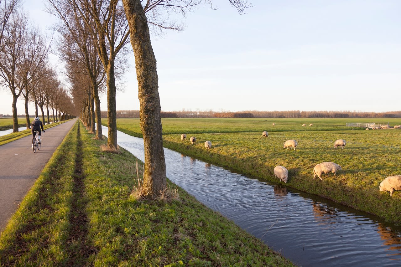 Purmerend, Foto Adobe Stock A Havelaar