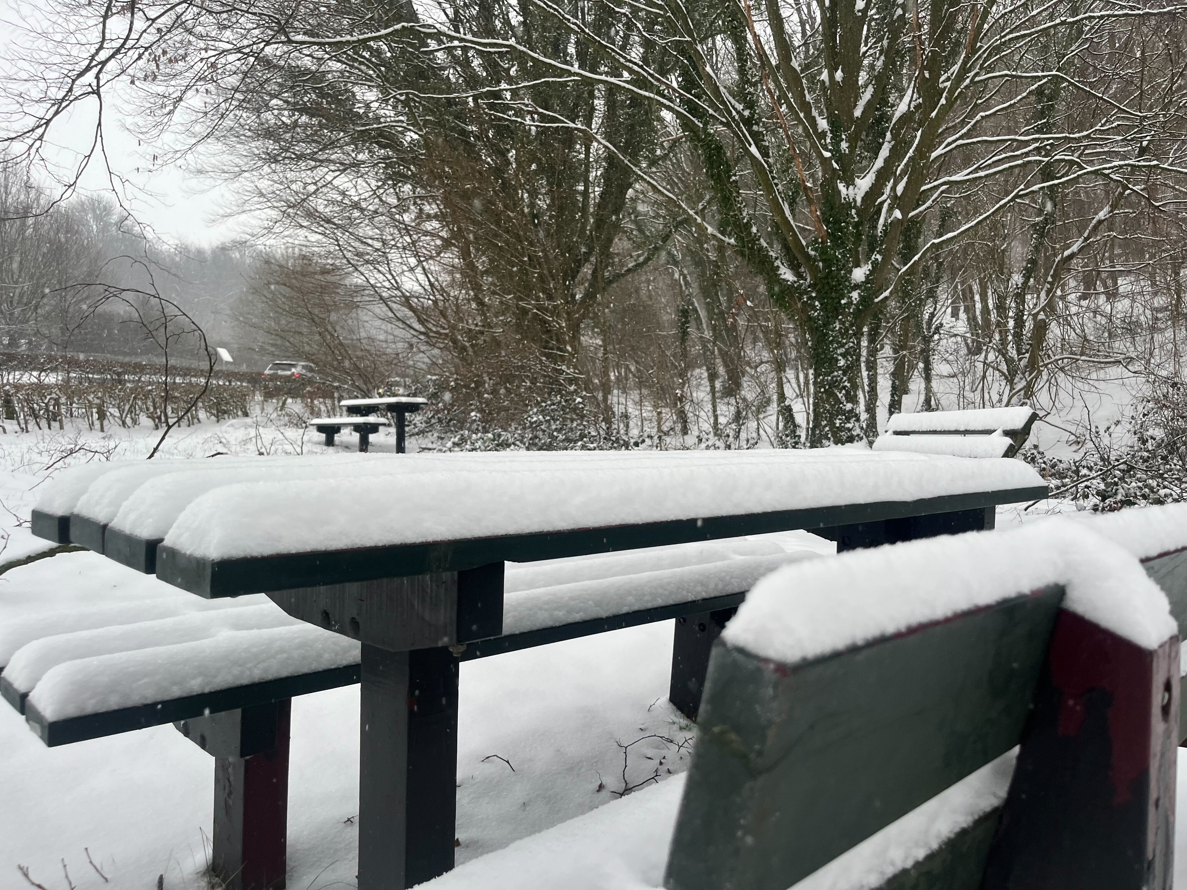 Het sneeuwdek is ongeveer 10 cm. Foto: Berend van Straaten.