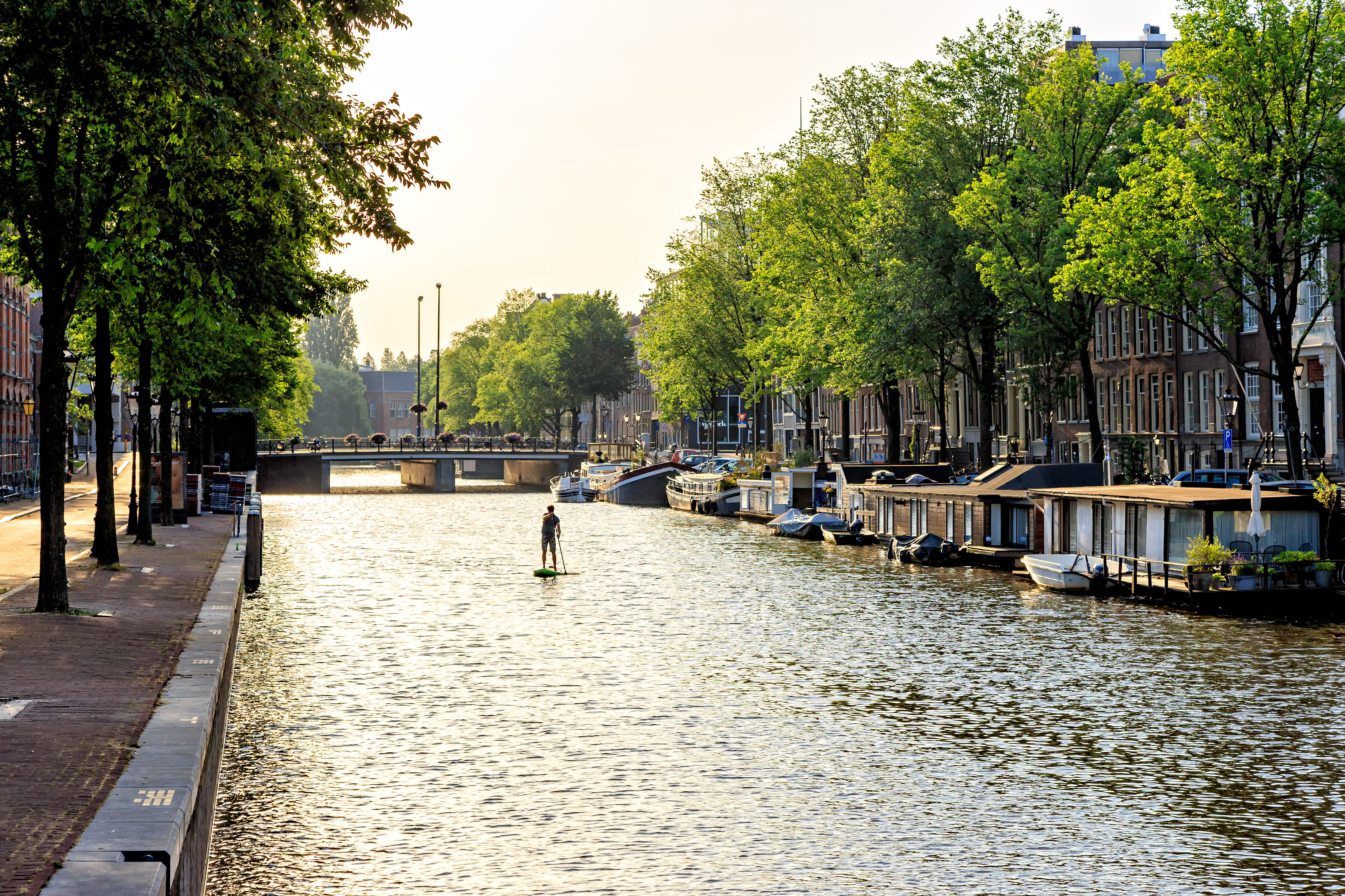 Suppen in Amsterdam. Foto: Adobe Stock / nikitamaykov