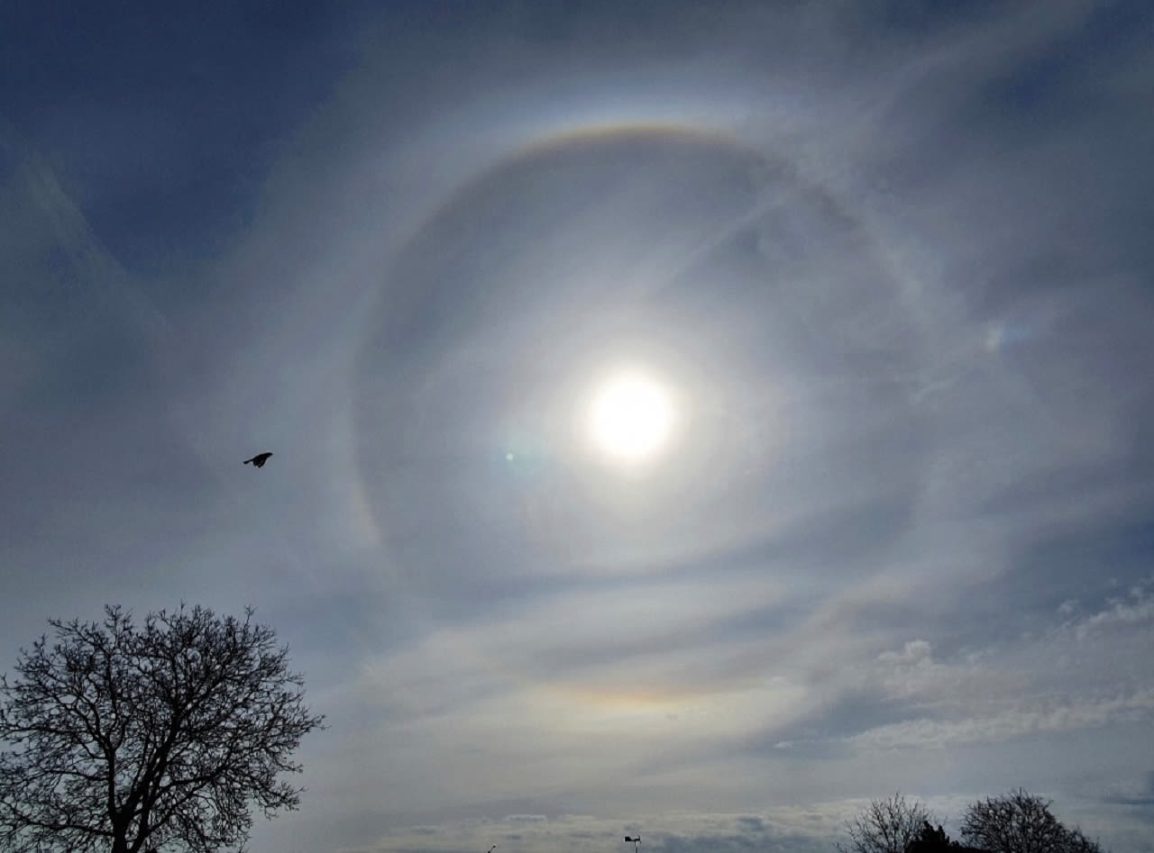 Kring om de zon, Foto: Marjo Hofmans