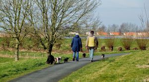De drie mooiste wandelroutes voor het Nederlandse voorjaar