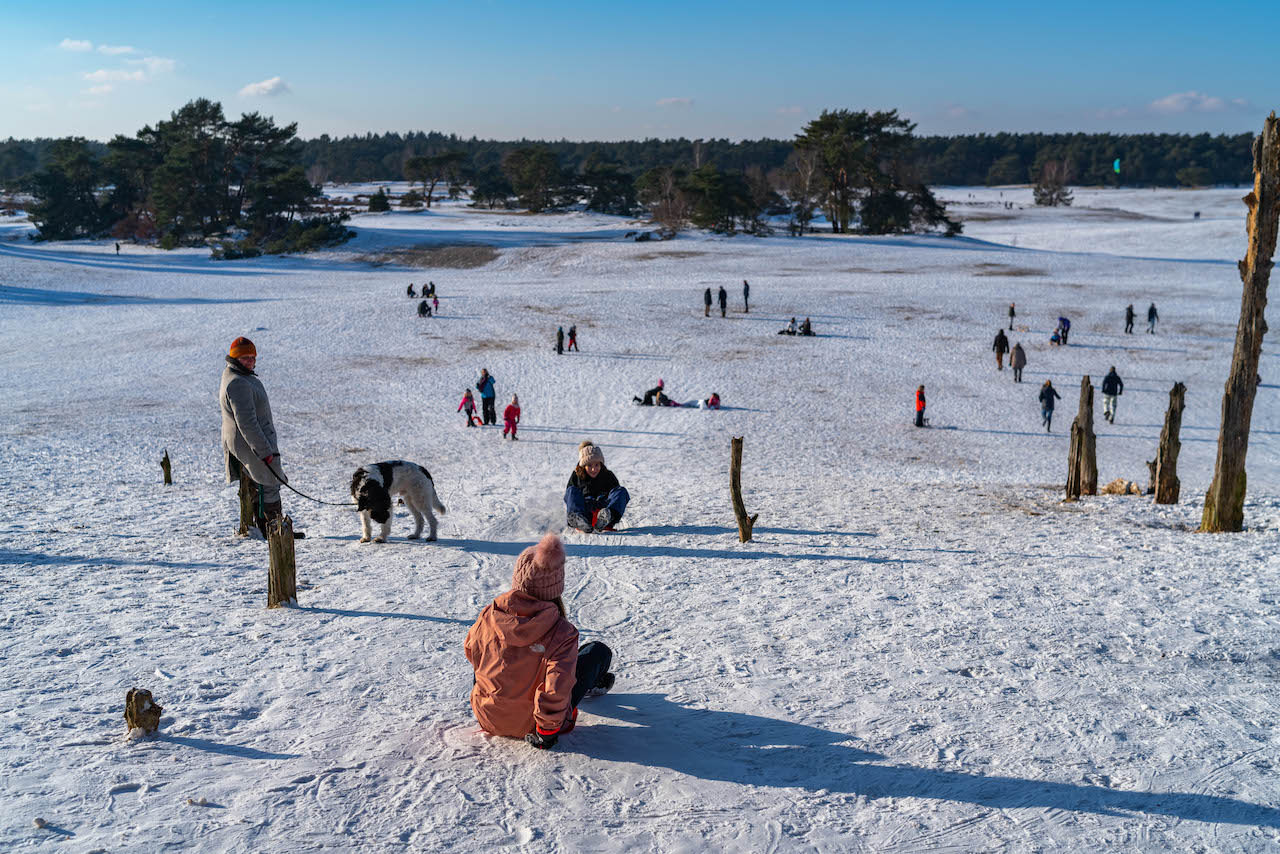 Sneeuwpret in de Soesterduinen. Foto: Winfred Vels