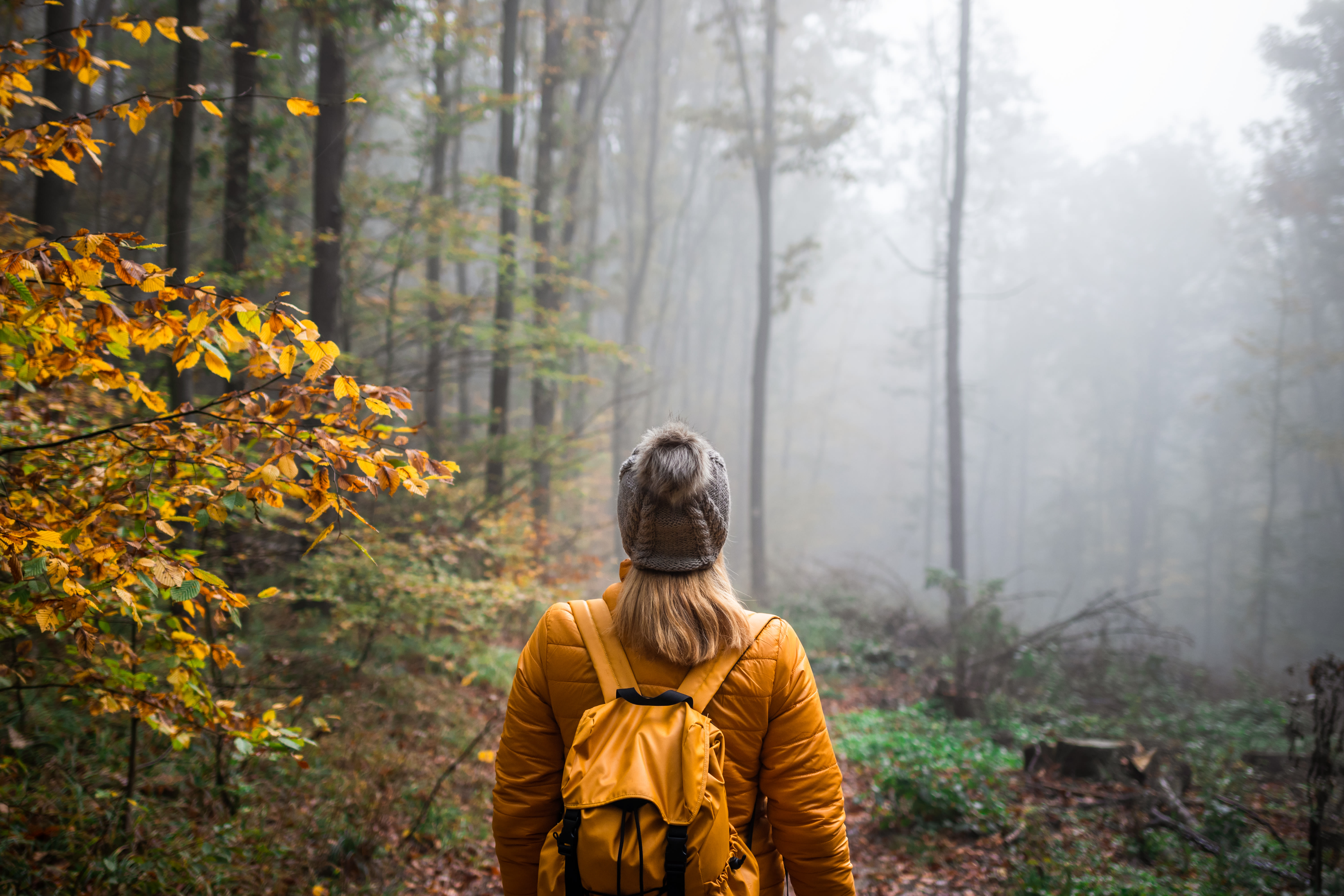 Hiken in de herfst. Foto: Adobestock / encierro