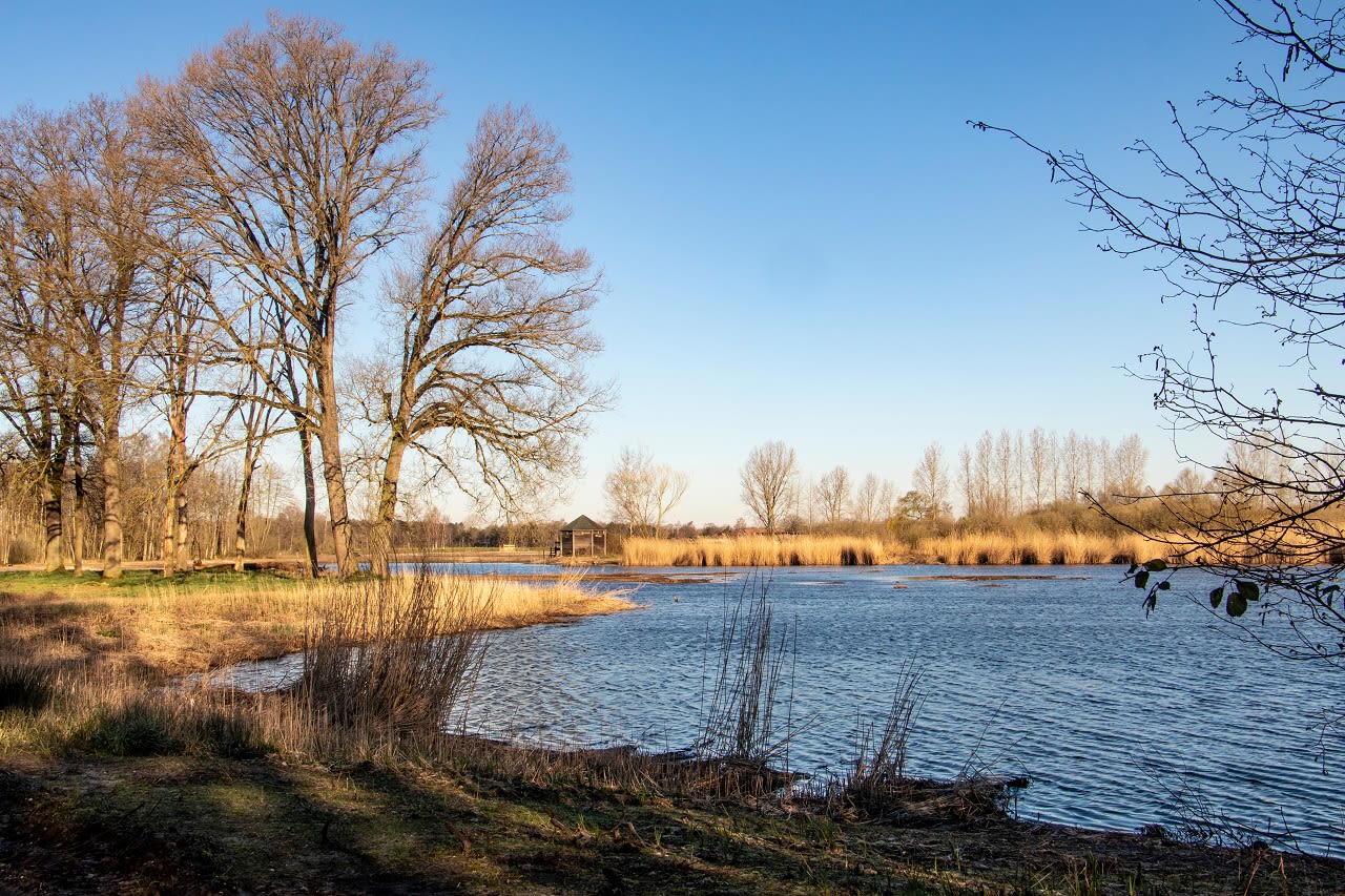 Natuurpark De Luysen in Bree. Foto: Adobe Stock / Ronny