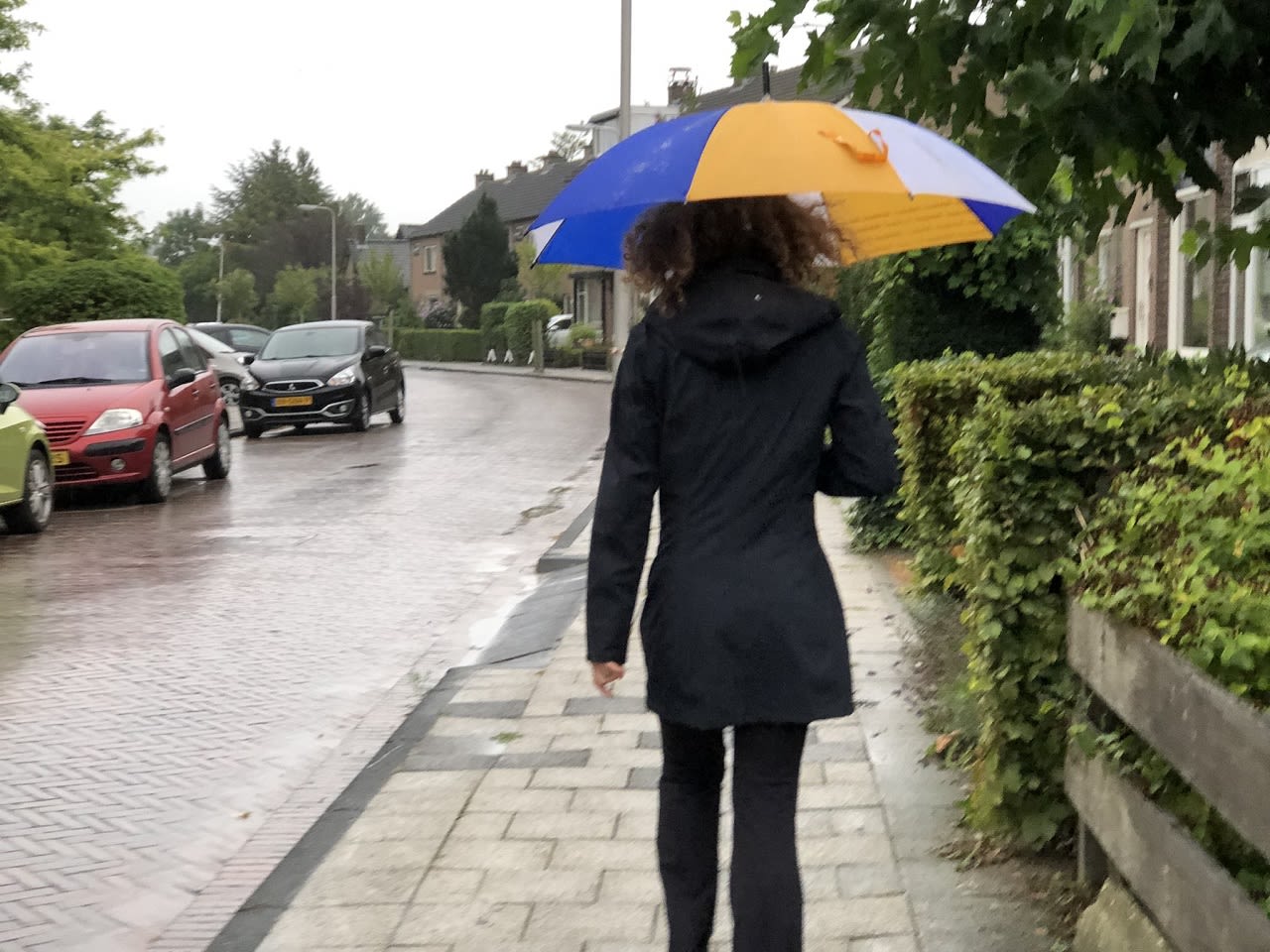Dinsdag is het lange tijd flink regenachtig Foto: Jolanda Bakker