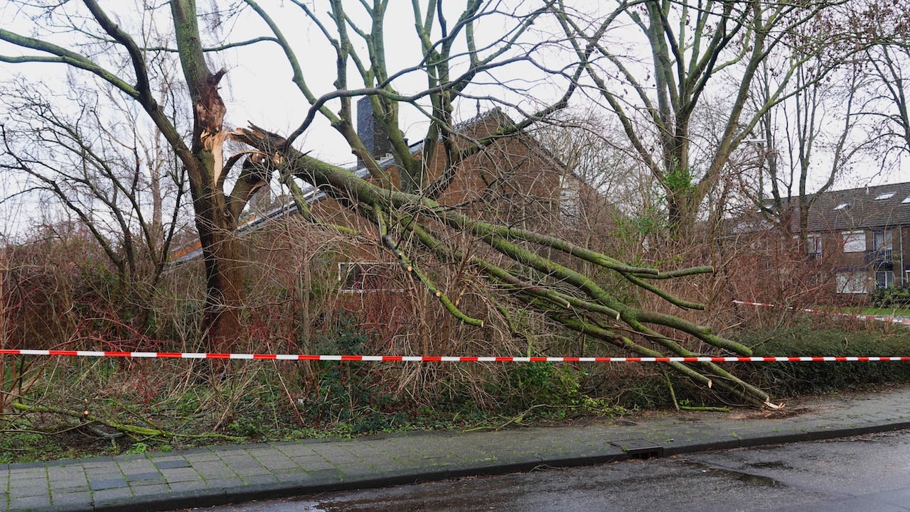 Stormschade na storm Henk. Foto: Ton Wesselius.