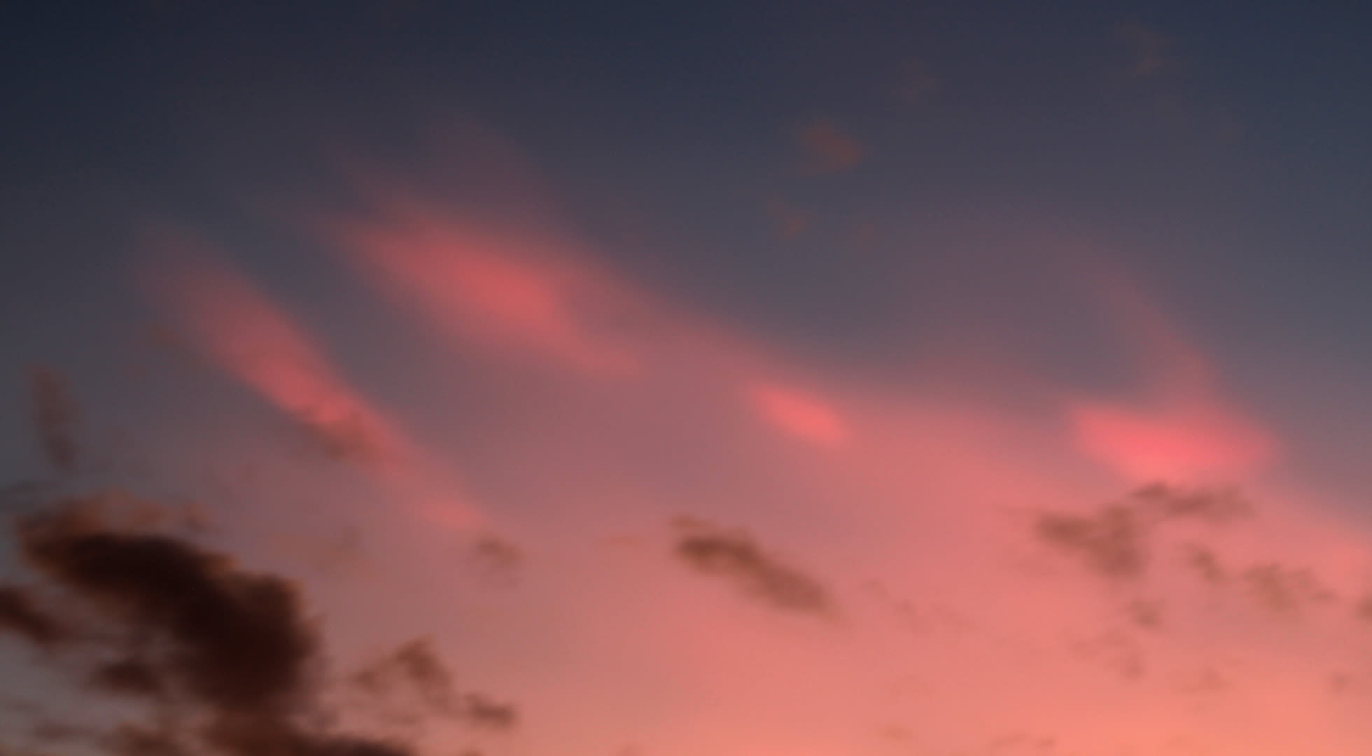 Wat grotere ijskristallen produceren een roze gloed. Deze parelmoerwolken waren in 2016 boven Nederland te zien. Foto: Gieny Westra