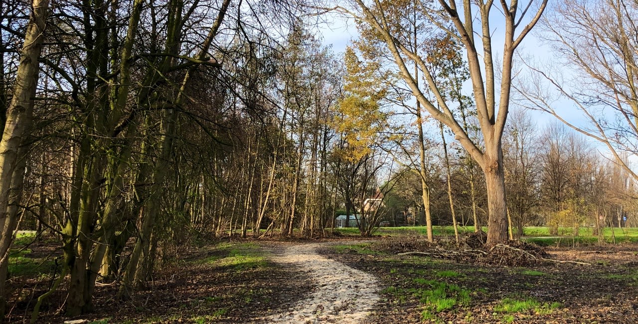 Rustig novemberweer. Foto: Jolanda Bakker