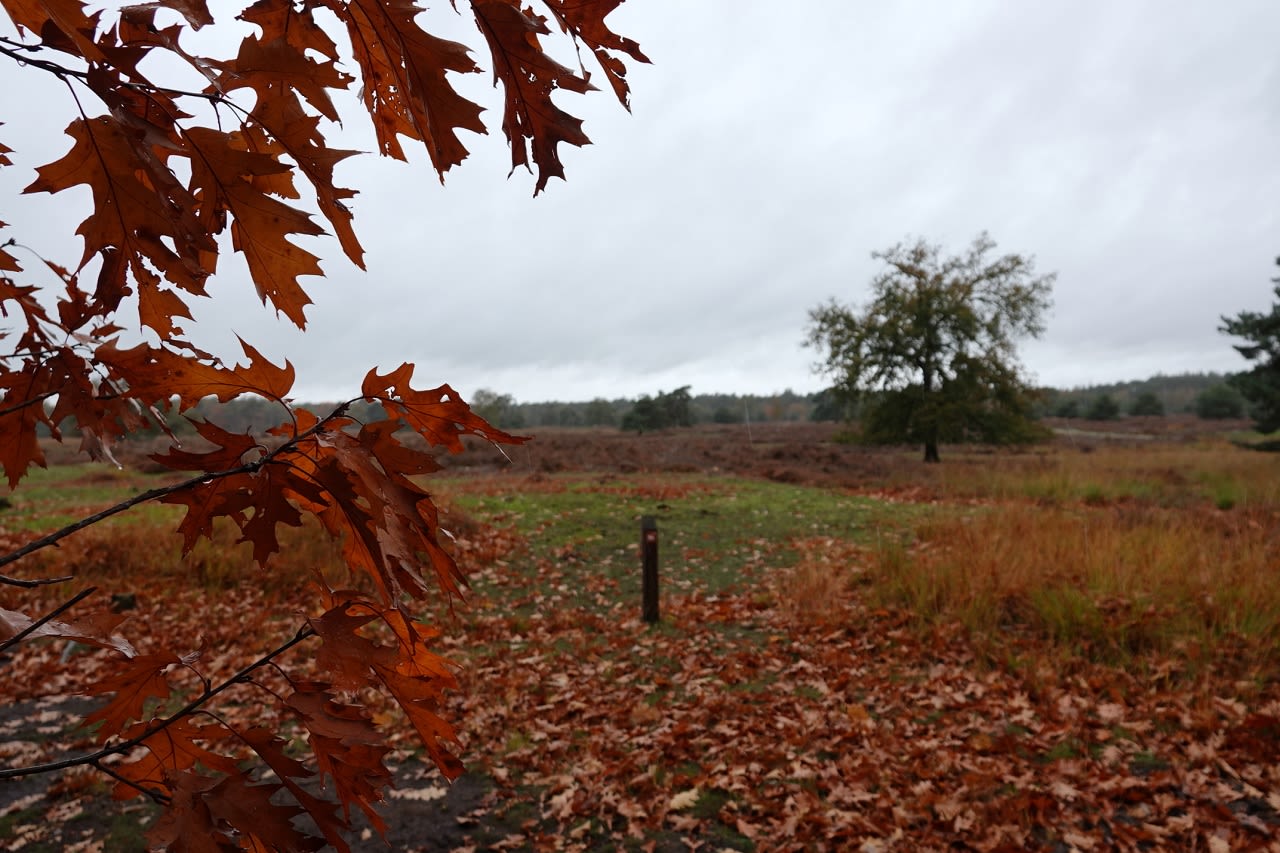 Herfstfoto van Ben Saanen