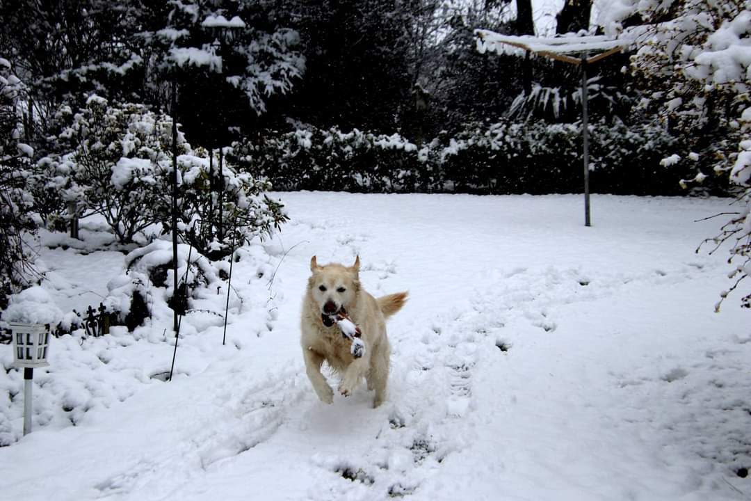 Sneeuwpret. Foto: Astrid Wiessner-Hoog