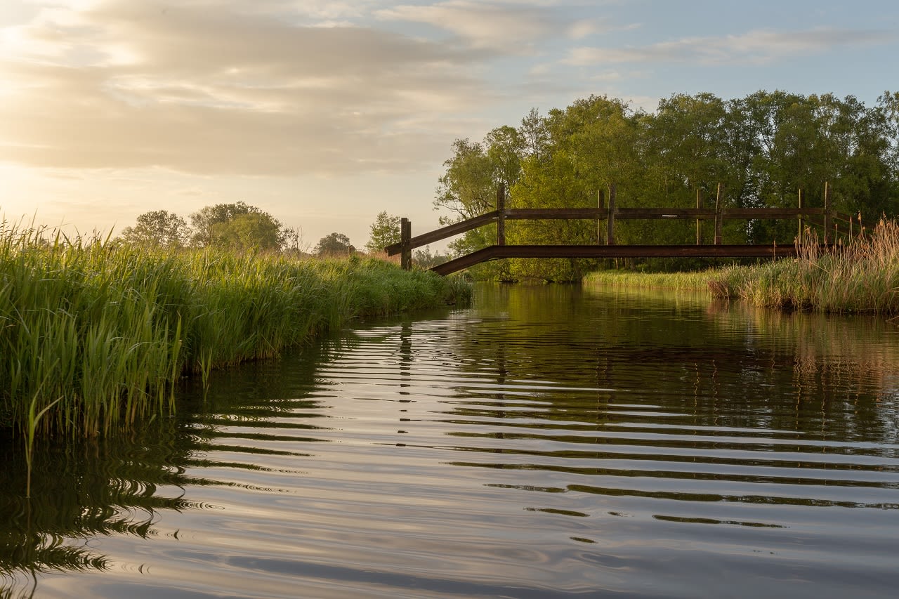 De blankaart bij zonsopkomst. Foto: Adobe Stock / krist