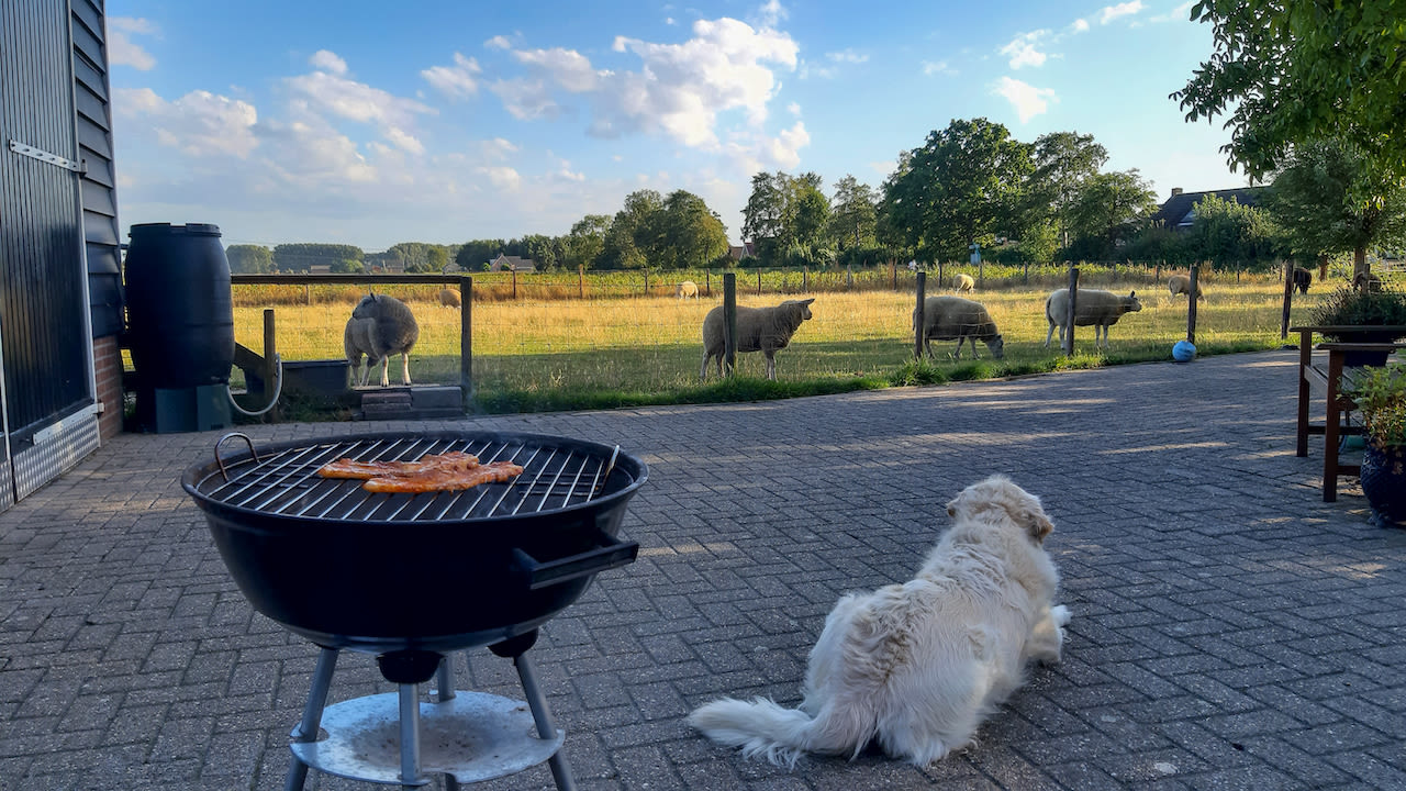 Bbq in de zomer. Foto: Astrid Wiessner Hoog.