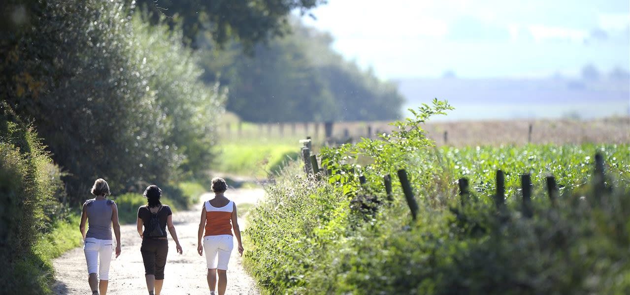 Zomers-wandelen-in-Limburg-1279x600