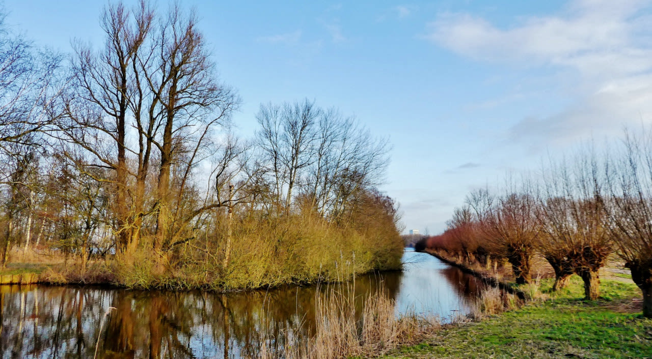 Blauwe lucht in de winter. Foto: Ton Wesselius