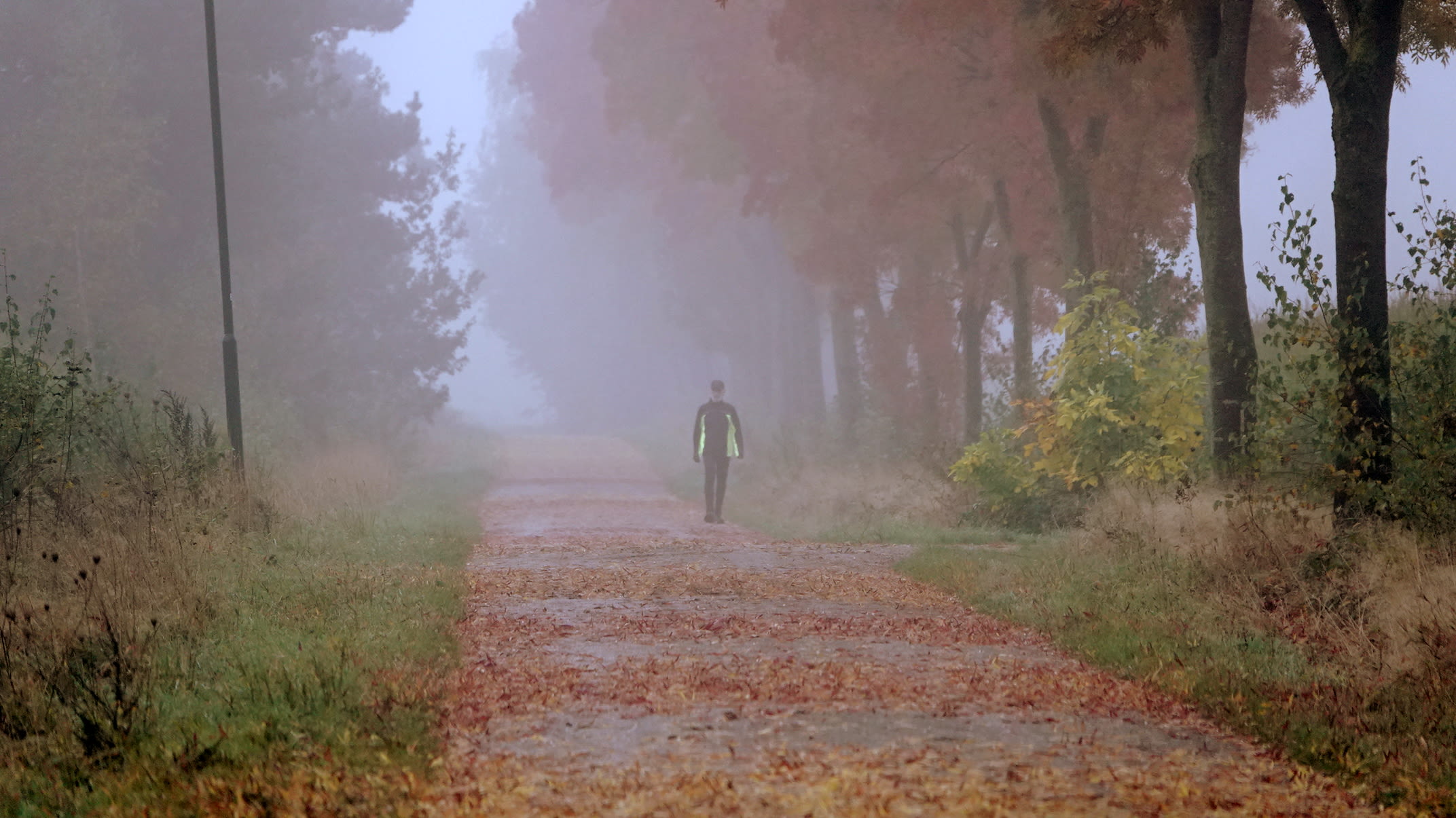 De herfst wordt vaak gezien als een somber en grijs seizoen. Foto: Ben Saanen.