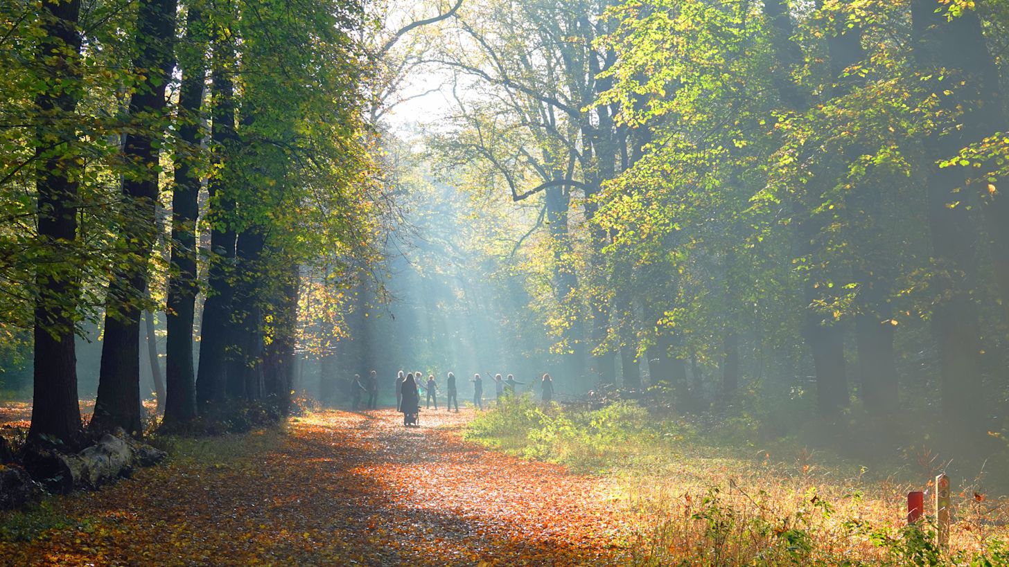Ochtendgymnastiek in de bossen tijdens de herfst. Foto: Carla Versteege