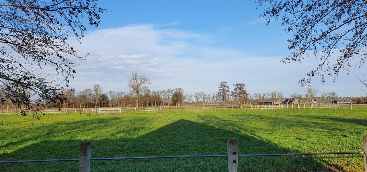 Warmste-decemberdag-ooit-1280x600