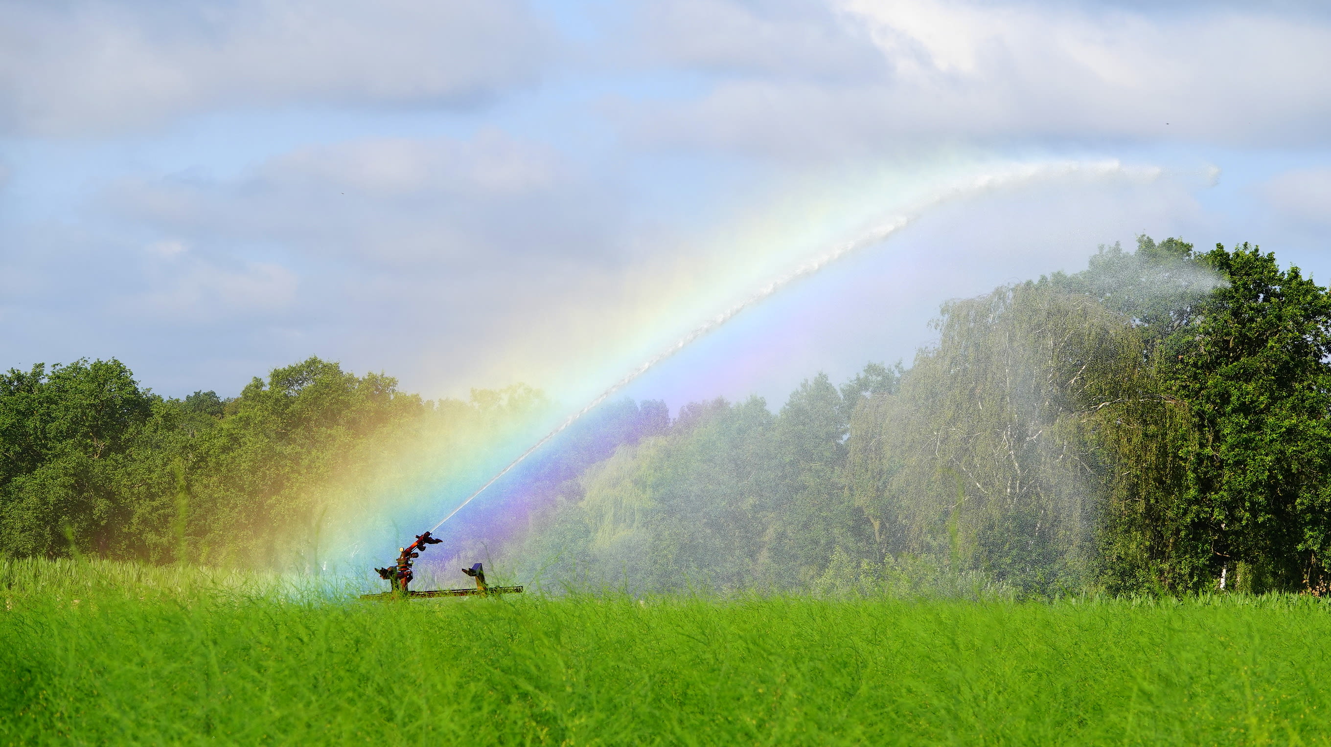 Voorlopig geen einde aan de droogte: Foto: Ben Saanen