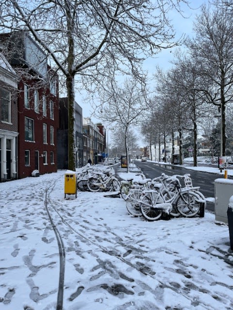 In de ochtend van 1 april 2022 lag in een groot deel van het land een gebroken sneeuwdek van enkele centimeters. Foto: Berend van Straaten
