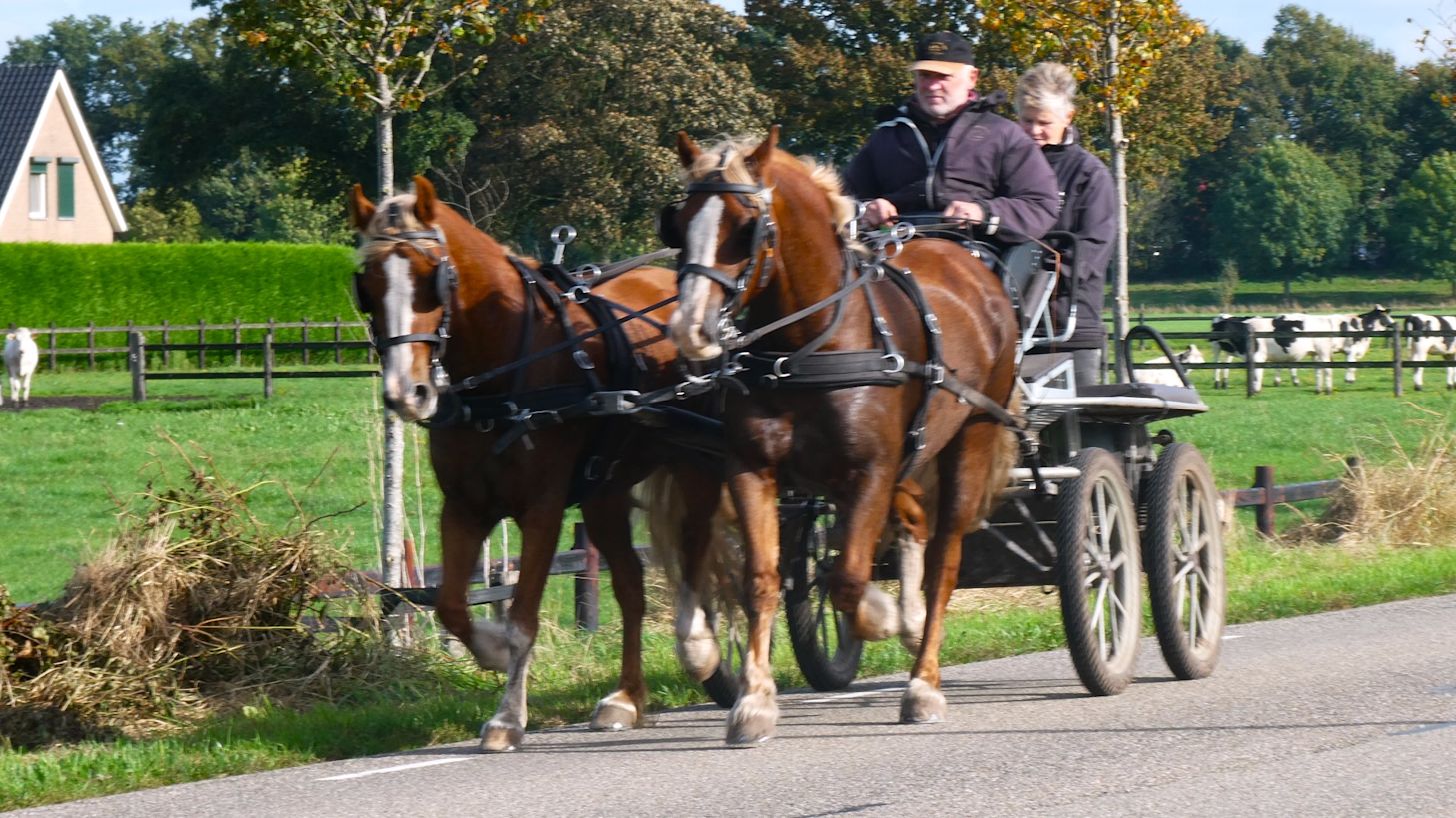 Heerlijk najaarsweer in aantocht. Foto: Martha Kivits