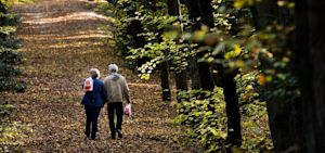 Terugblik november 2020: zeer zacht, zeer zonnig en droog