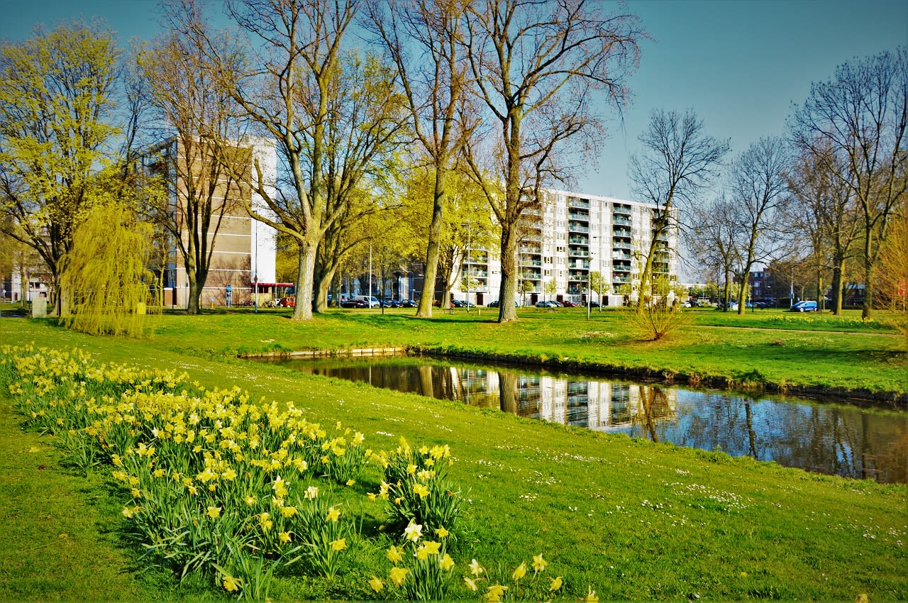 Een stralende lentedag in april. Foto: Henk Luntz