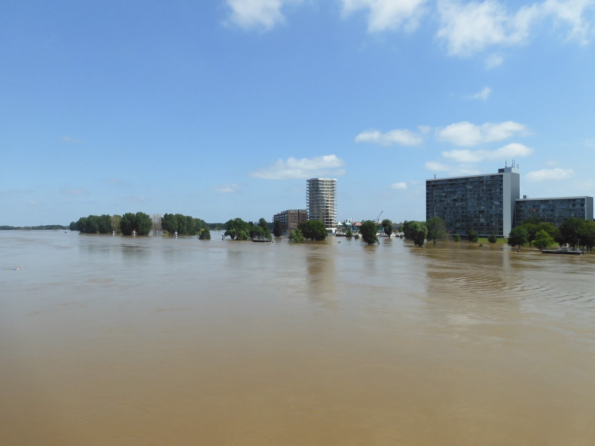 Hoogwater in de Maas bij Roermond, 17 juli 2021. Foto: Stan Lafleur