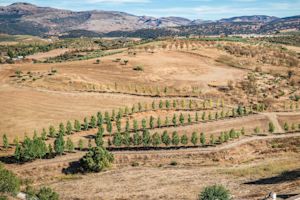 Hitte Zuid-Spanje evenaart septemberrecord