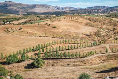 Hitte Zuid-Spanje evenaart septemberrecord