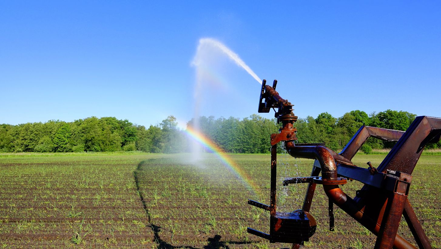 De droogte heeft gevolgen voor landbouw. Foto: Ben Saanen