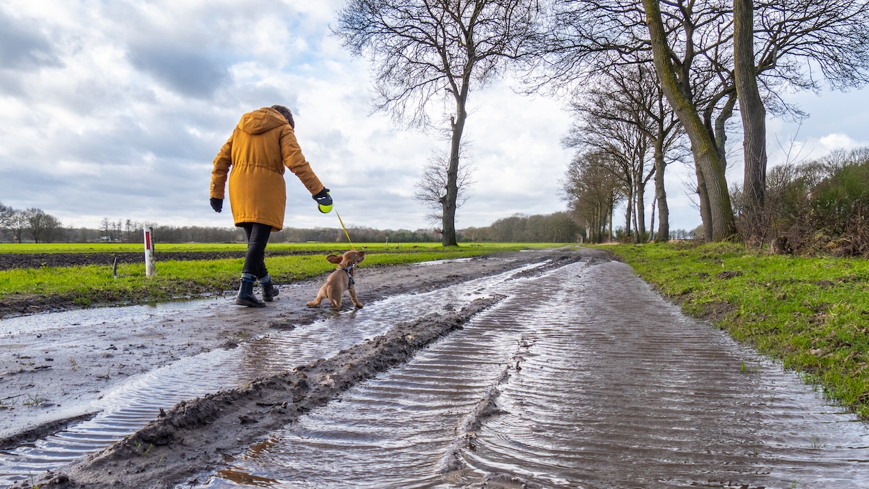 Wisselvallige week met soms veel wind. Foto: Jos Hebben.