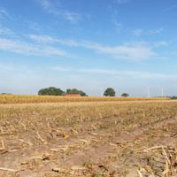 Wat doen de waterschappen tegen droogte?