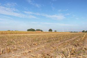 Wat doen de waterschappen tegen droogte?