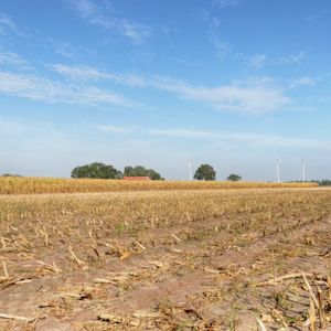 Wat doen de waterschappen tegen droogte?