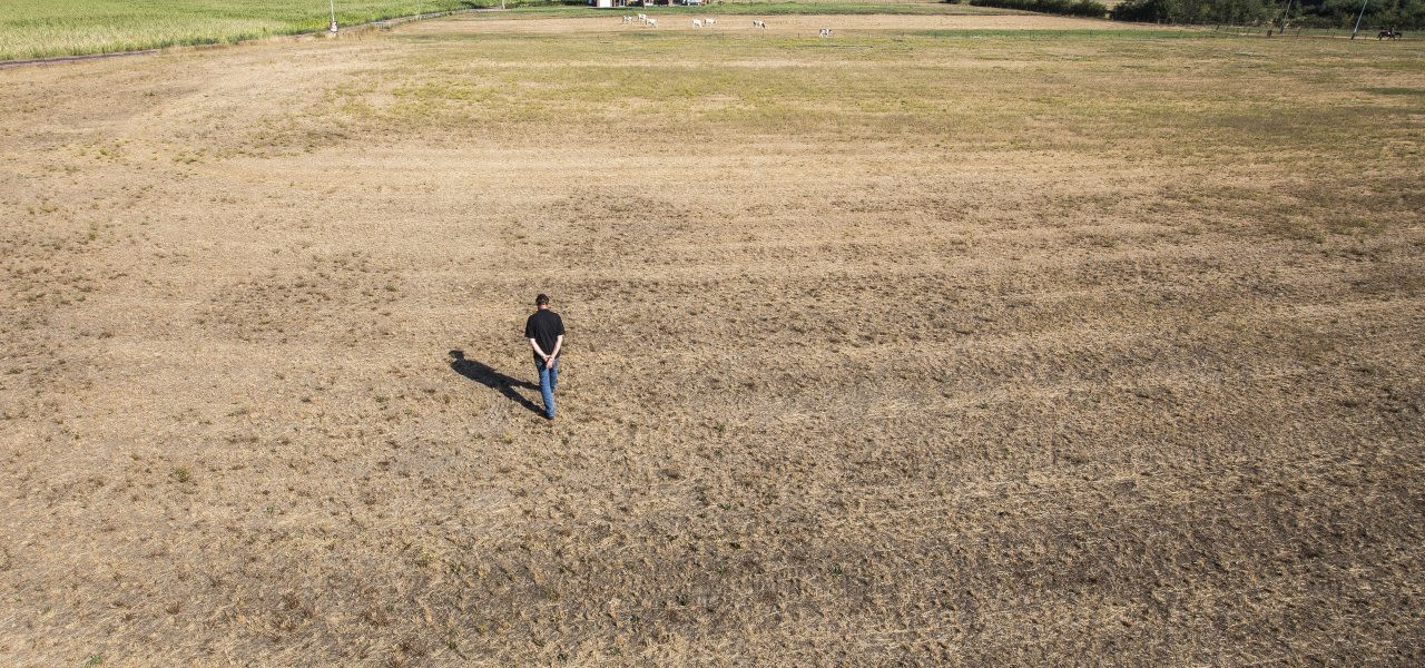 Droogte-houdt-aan-in-oosten-en-zuiden-1280x600