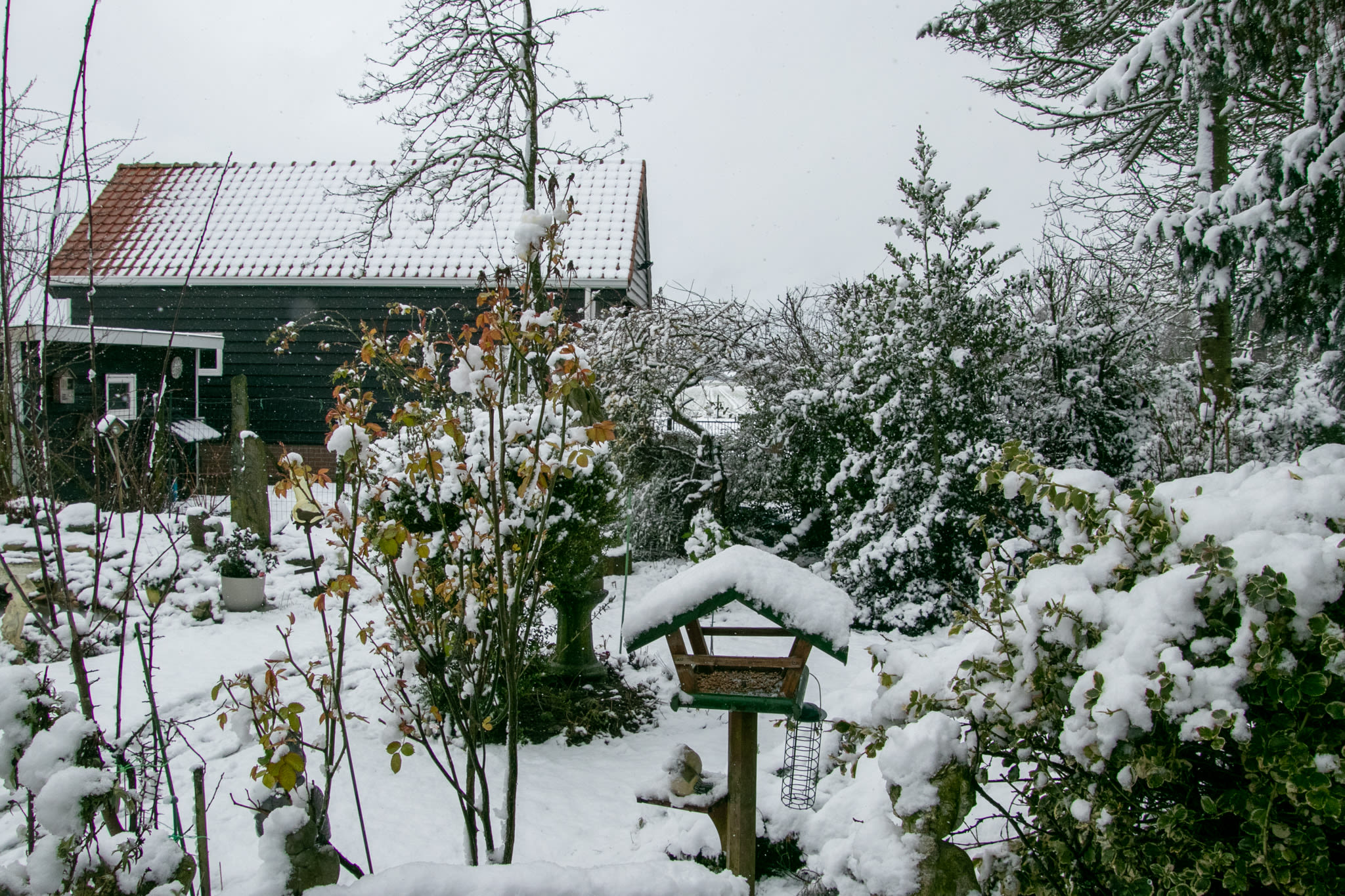 Winterwonderland in de tuin. Foto: Astrid Wiessner Hoog