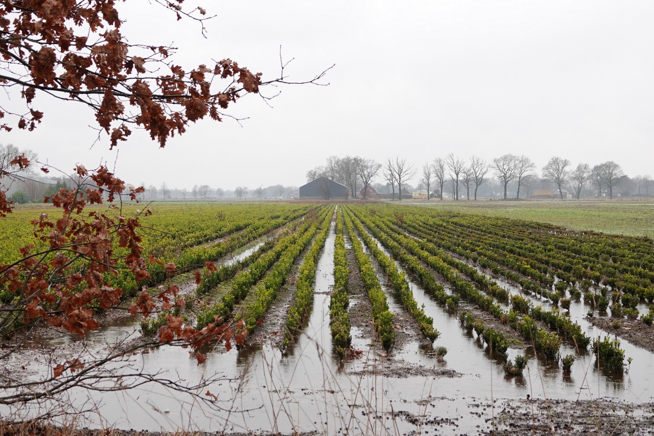 Het was een kletsnatte en sombere maand. Foto: Ben Saanen