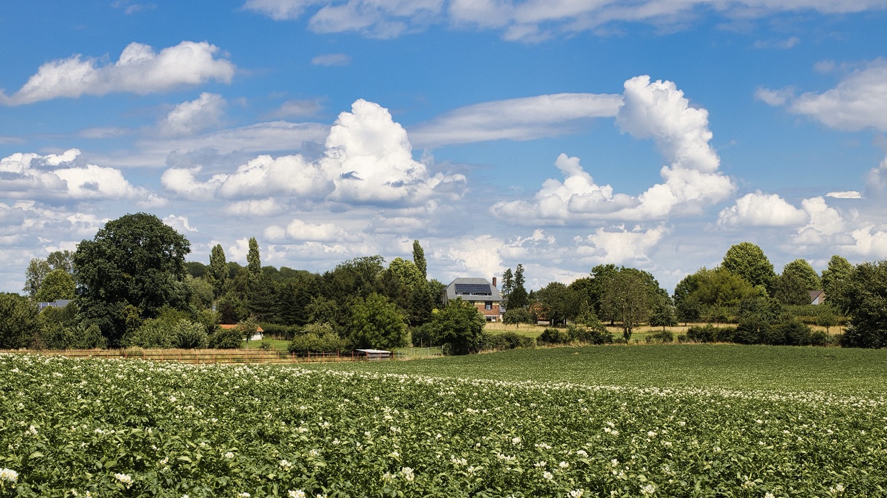 Zon en wolken. Foto: Ryckmans Noël