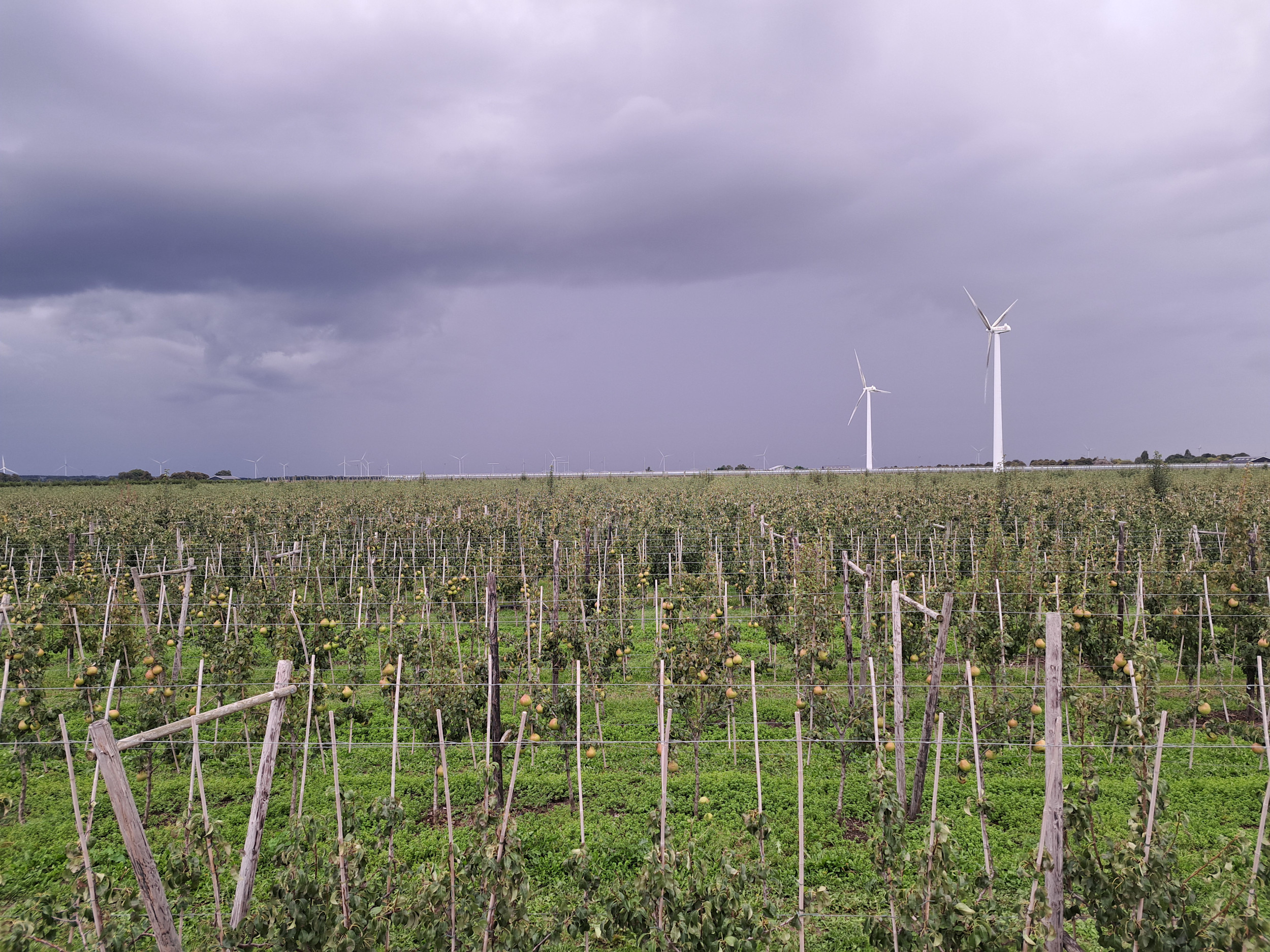 Neerslagtekort gedaald door wisselvallig weer