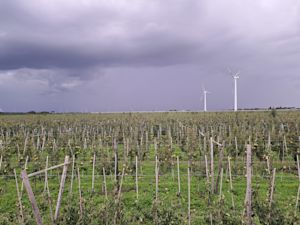 Neerslagtekort gedaald door wisselvallig weer