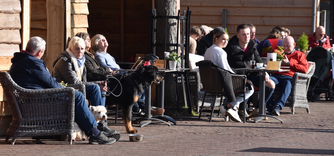 Lente-achtig in februari. Foto: Anne-Marie van Iersel