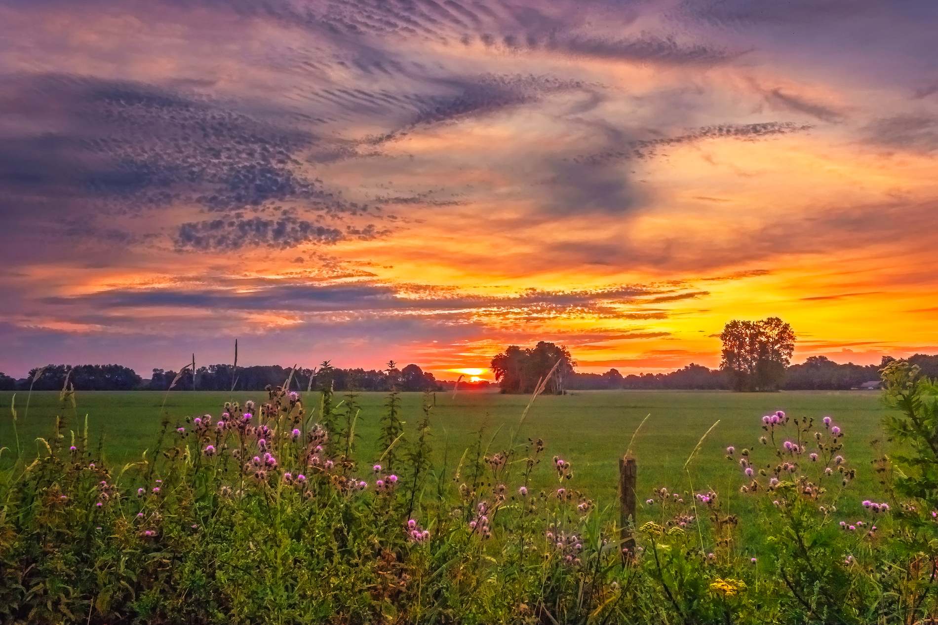 Fraaie zonsopkomst. Foto: Nicky Wagenvoort